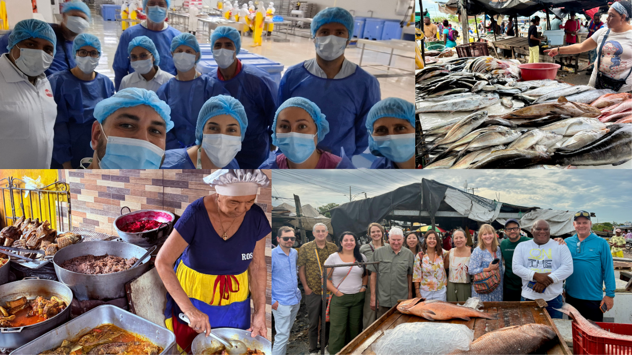 colombia-2025-field trips