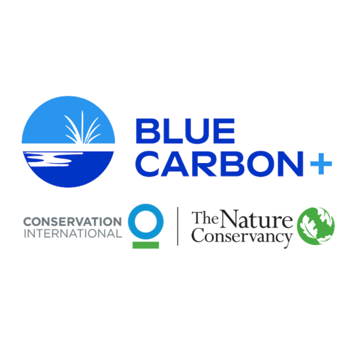 TNC Blue Carbon